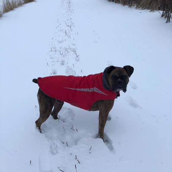 Meet your Posher, Nicole - Picture 1 of 1